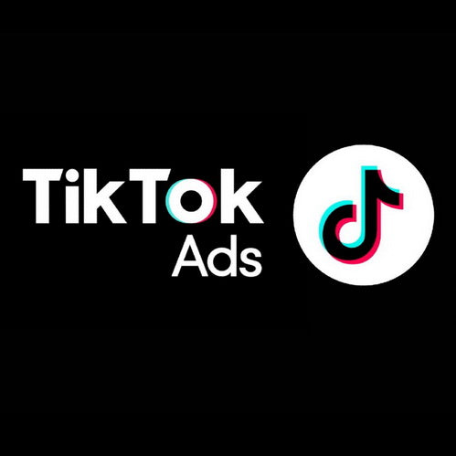 TikTok Ad Strategy Accelerator — Master Paid Ads & Scale to 6 Figures